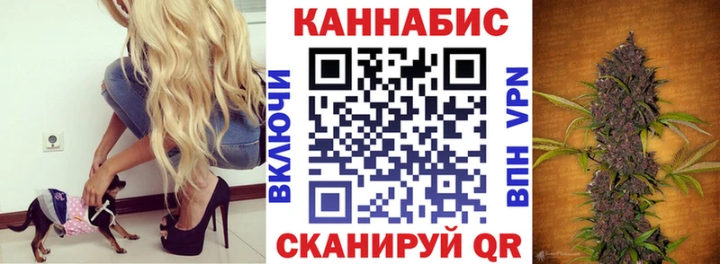 Альфа ПВП Сафоново
