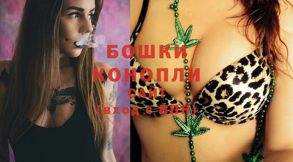 гидра Каменка